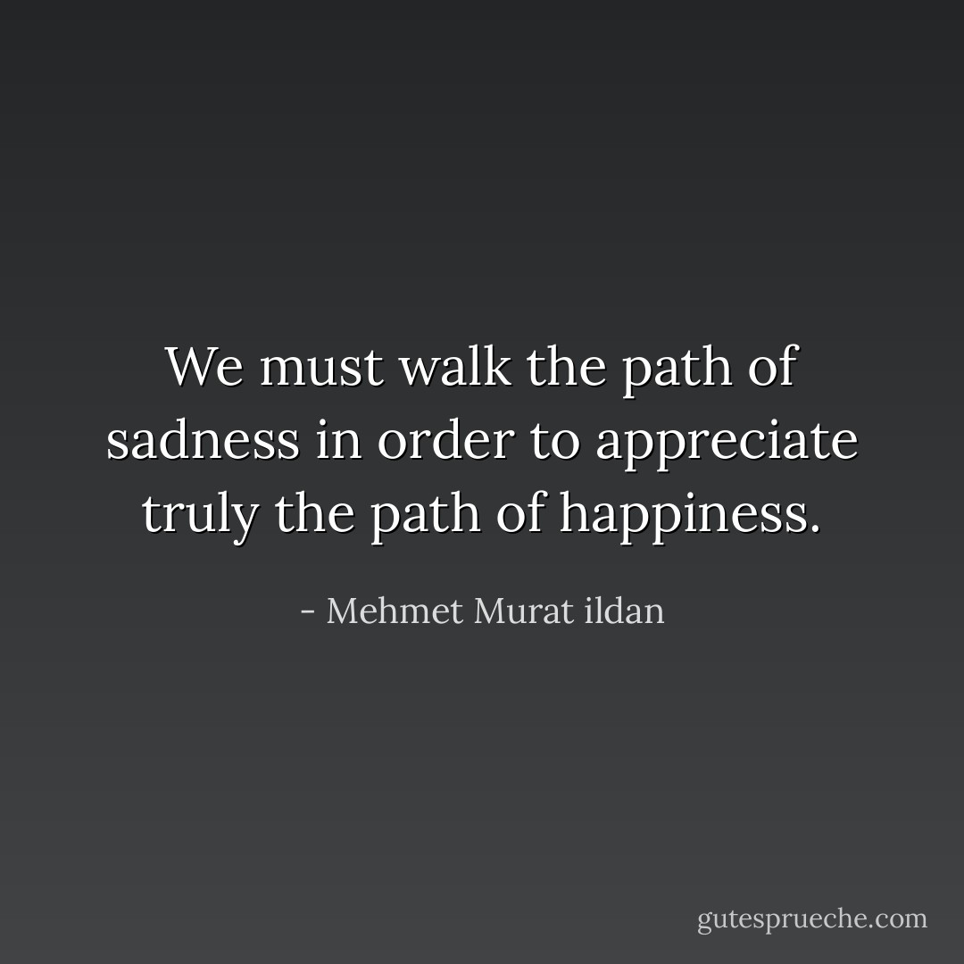 We must walk the path of sadness in order to appreciate truly the path of happiness. - Mehmet Murat ildan