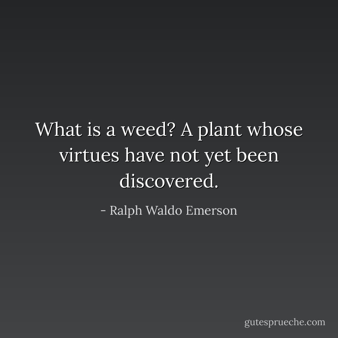 What is a weed? A plant whose virtues have not yet been discovered. - Ralph Waldo Emerson
