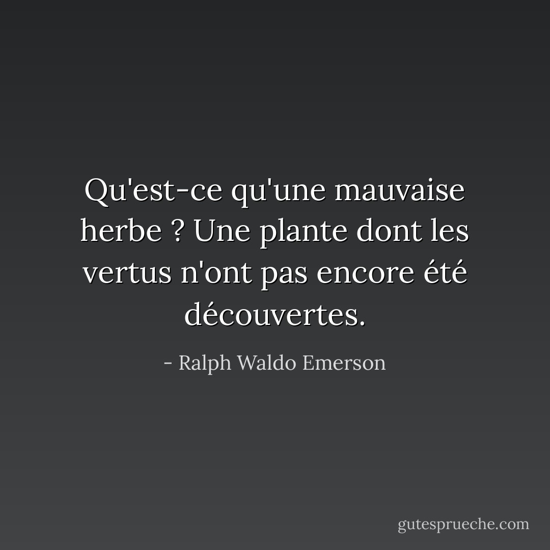 Qu'est-ce qu'une mauvaise herbe ? Une plante dont les vertus n'ont pas encore été découvertes. - Ralph Waldo Emerson