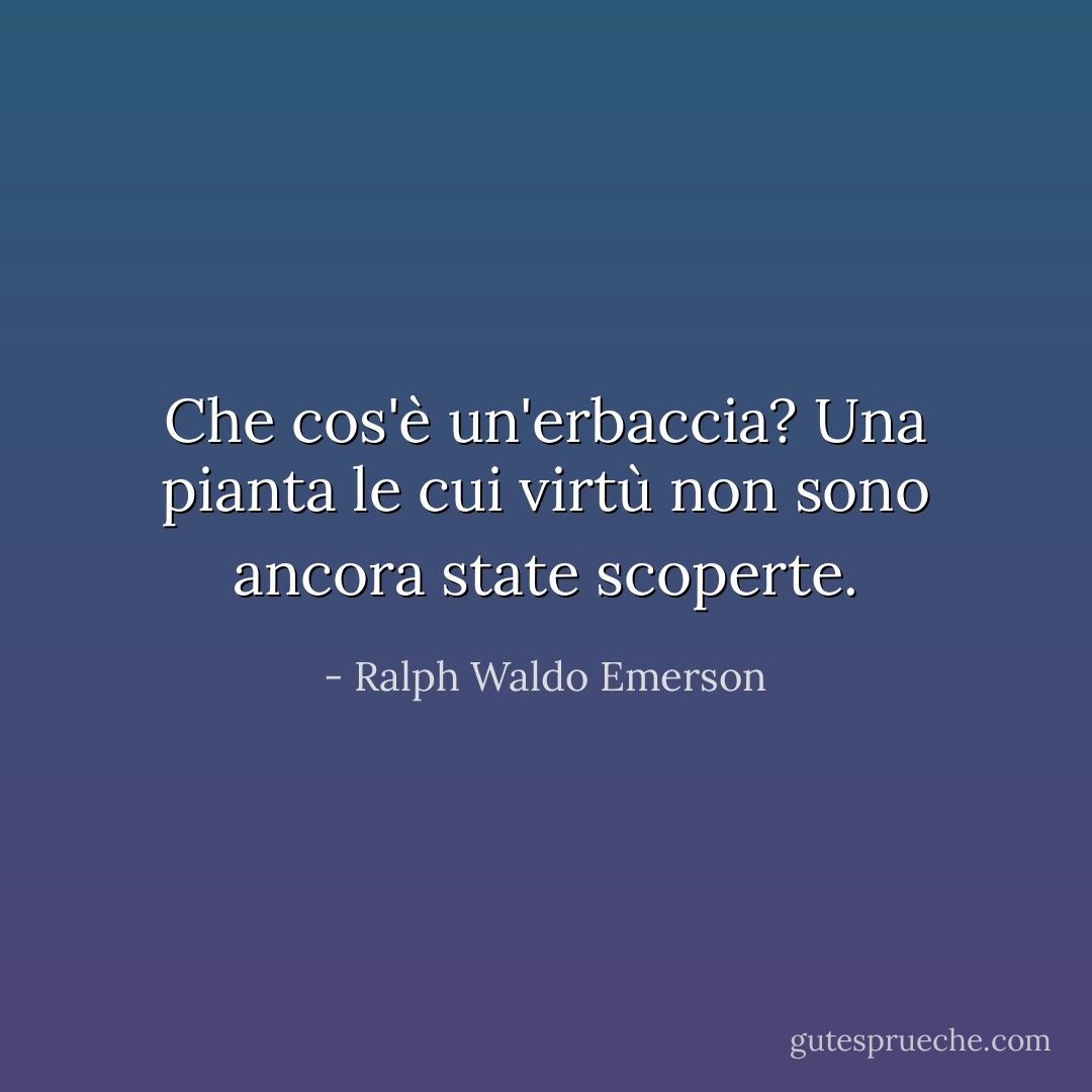 Che cos'è un'erbaccia? Una pianta le cui virtù non sono ancora state scoperte. - Ralph Waldo Emerson