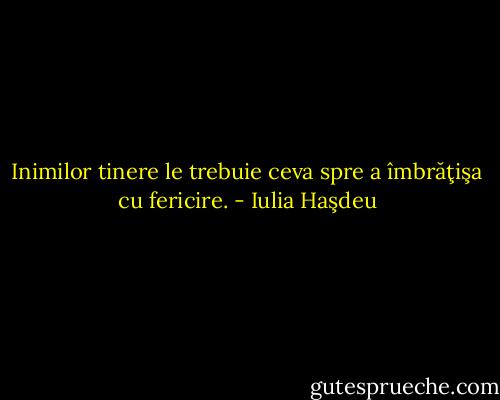 Inimilor tinere le trebuie ceva spre a îmbrăţişa cu fericire. - Iulia Haşdeu