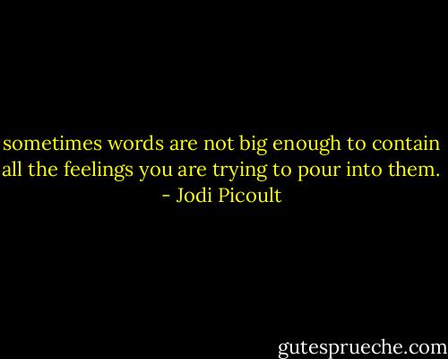 sometimes words are not big enough to contain all the feelings you are trying to pour into them. - Jodi Picoult