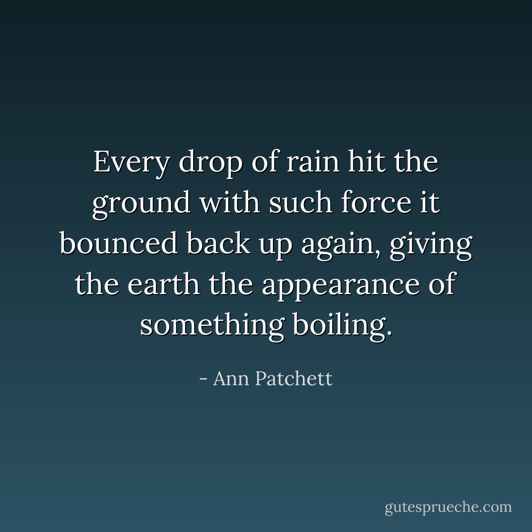 Every drop of rain hit the ground with such force it bounced back up again, giving the earth the appearance of something boiling. - Ann Patchett
