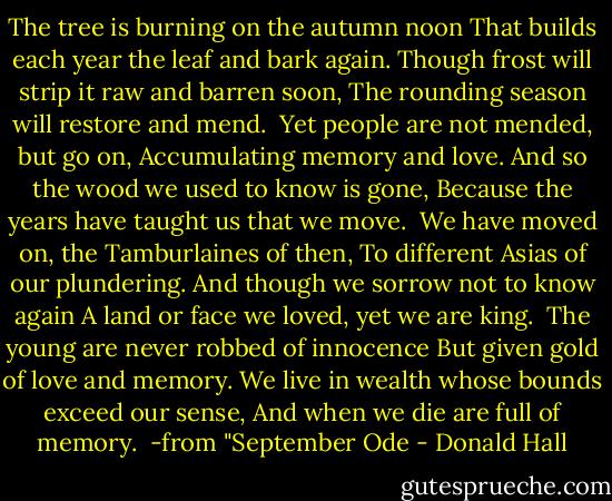 The tree is burning on the autumn noon<br />That builds each year the leaf and bark again.<br />Though frost will strip it raw and barren soon,<br />The rounding season will restore and mend.<br /><br />Yet people are not mended, but go on,<br />Accumulating memory and love.<br />And so the wood we used to know is gone,<br />Because the years have taught us that we move.<br /><br />We have moved on, the Tamburlaines of then,<br />To different Asias of our plundering.<br />And though we sorrow not to know again<br />A land or face we loved, yet we are king.<br /><br />The young are never robbed of innocence<br />But given gold of love and memory.<br />We live in wealth whose bounds exceed our sense,<br />And when we die are full of memory.<br /><br />-from "September Ode - Donald Hall