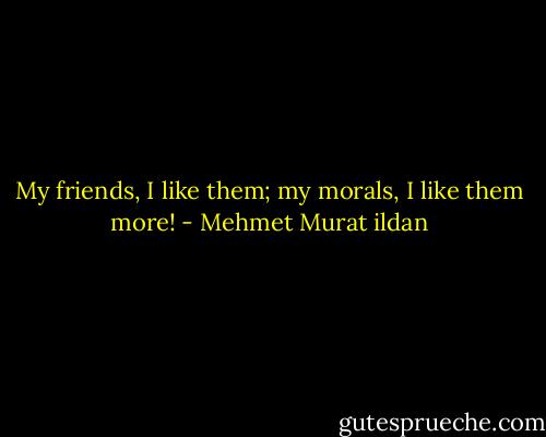 My friends, I like them; my morals, I like them more! - Mehmet Murat ildan
