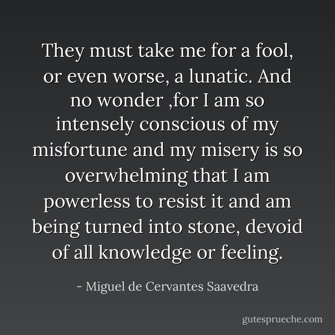 They must take me for a fool, or even worse, a lunatic. And no wonder ,for I am so intensely conscious of my misfortune and my misery is so overwhelming that I am powerless to resist it and am being turned into stone, devoid of all knowledge or feeling. - Miguel de Cervantes Saavedra