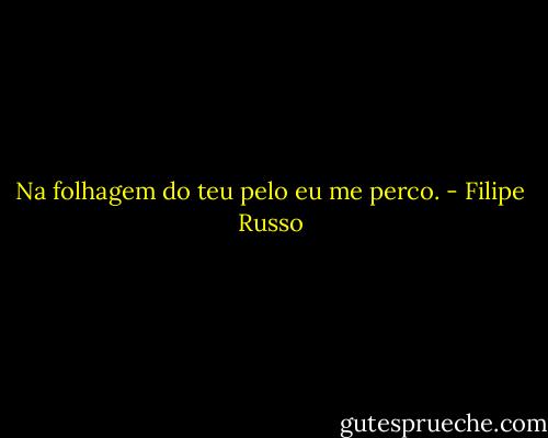 Na folhagem do teu pelo eu me perco. - Filipe Russo