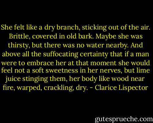 She felt like a dry branch, sticking out of the air. Brittle, covered in old bark. Maybe she was thirsty, but there was no water nearby. And above all the suffocating certainty that if a man were to embrace her at that moment she would feel not a soft sweetness in her nerves, but lime juice stinging them, her body like wood near fire, warped, crackling, dry. - Clarice Lispector