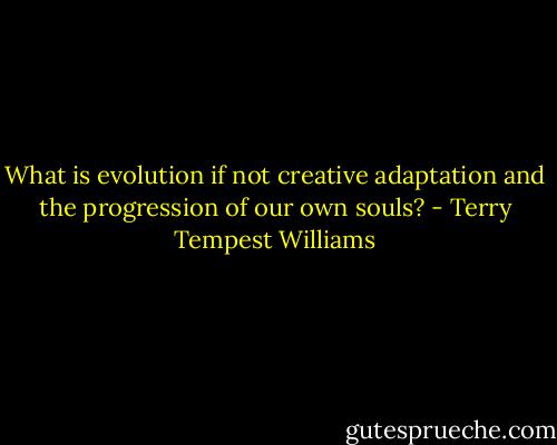 What is evolution if not creative adaptation and the progression of our own souls? - Terry Tempest Williams