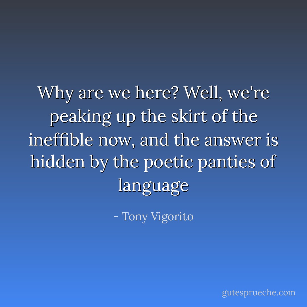 Why are we here? Well, we're peaking up the skirt of the ineffible now, and the answer is hidden by the poetic panties of language - Tony Vigorito