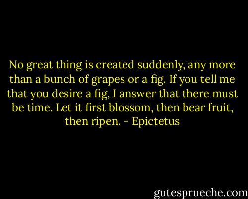 No great thing is created suddenly, any more than a bunch of grapes or a fig. If you tell me that you desire a fig, I answer that there must be time. Let it first blossom, then bear fruit, then ripen. - Epictetus