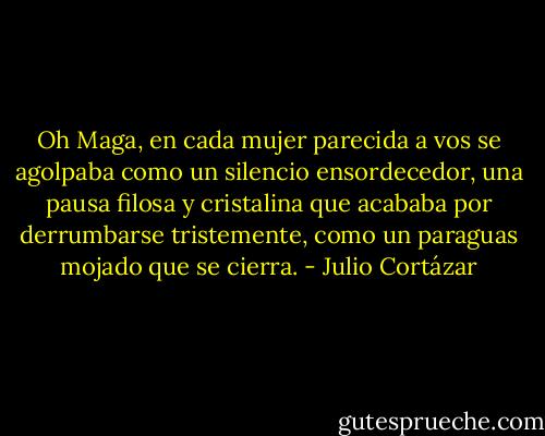 Oh Maga, en cada mujer parecida a vos se agolpaba como un silencio ensordecedor, una pausa filosa y cristalina que acababa por derrumbarse tristemente, como un paraguas mojado que se cierra. - Julio Cortázar