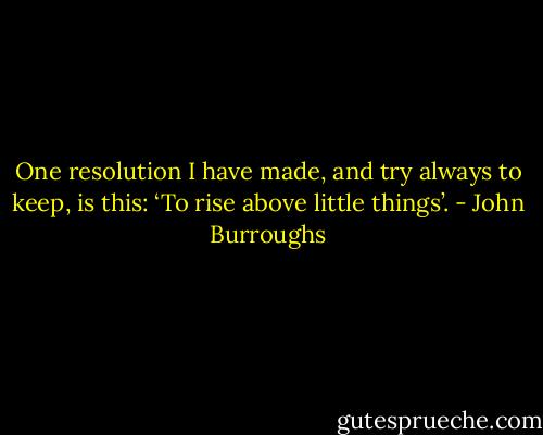 One resolution I have made, and try always to keep, is this: ‘To rise above little things’. - John Burroughs