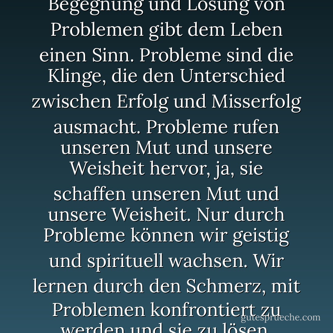 Der gesamte Prozess der Begegnung und Lösung von Problemen gibt dem Leben einen Sinn. Probleme sind die Klinge, die den Unterschied zwischen Erfolg und Misserfolg ausmacht. Probleme rufen unseren Mut und unsere Weisheit hervor, ja, sie schaffen unseren Mut und unsere Weisheit. Nur durch Probleme können wir geistig und spirituell wachsen. Wir lernen durch den Schmerz, mit Problemen konfrontiert zu werden und sie zu lösen. - M. Scott Peck<