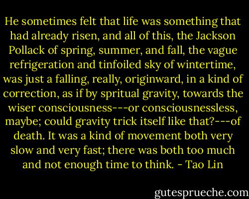 He sometimes felt that life was something that had already risen, and all of this, the Jackson Pollack of spring, summer, and fall, the vague refrigeration and tinfoiled sky of wintertime, was just a falling, really, originward, in a kind of correction, as if by spritual gravity, towards the wiser consciousness---or consciousnessless, maybe; could gravity trick itself like that?---of death. It was a kind of movement both very slow and very fast; there was both too much and not enough time to think. - Tao Lin