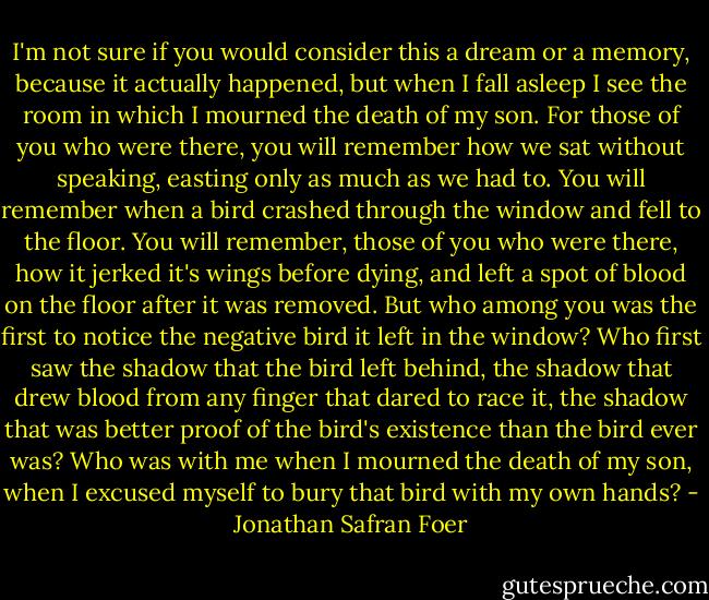 I'm not sure if you would consider this a dream or a memory, because it actually happened, but when I fall asleep I see the room in which I mourned the death of my son. For those of you who were there, you will remember how we sat without speaking, easting only as much as we had to. You will remember when a bird crashed through the window and fell to the floor. You will remember, those of you who were there, how it jerked it's wings before dying, and left a spot of blood on the floor after it was removed. But who among you was the first to notice the negative bird it left in the window? Who first saw the shadow that the bird left behind, the shadow that drew blood from any finger that dared to race it, the shadow that was better proof of the bird's existence than the bird ever was? Who was with me when I mourned the death of my son, when I excused myself to bury that bird with my own hands? - Jonathan Safran Foer