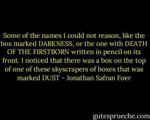 Some of the names I could not reason, like the box marked DARKNESS, or the one with DEATH OF THE FIRSTBORN written in pencil on its front. I noticed that there was a box on the top of one of these skyscrapers of boxes that was marked DUST - Jonathan Safran Foer