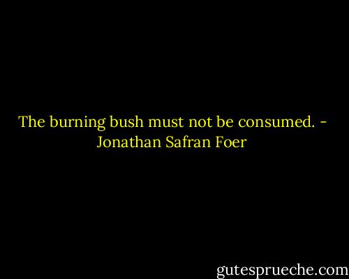 The burning bush must not be consumed. - Jonathan Safran Foer