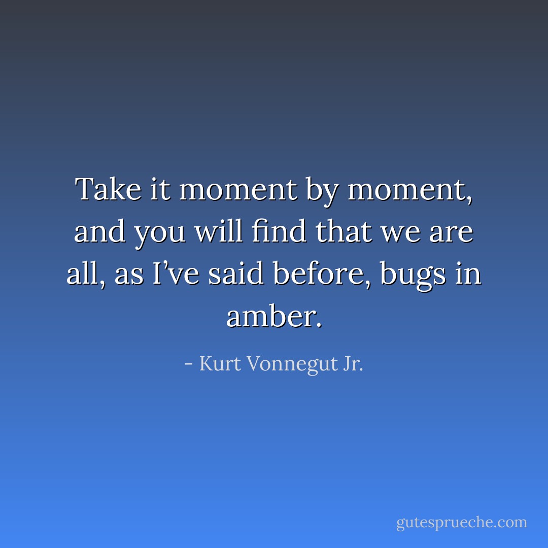 Take it moment by moment, and you will find that we are all, as I’ve said before, bugs in amber. - Kurt Vonnegut Jr.