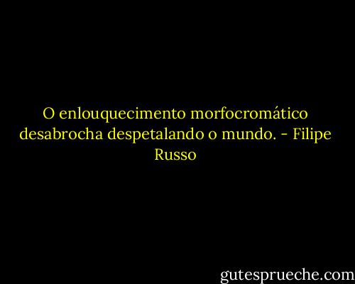 O enlouquecimento morfocromático desabrocha despetalando o mundo. - Filipe Russo