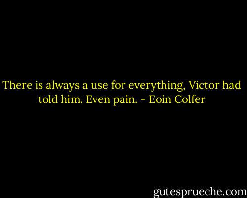 There is always a use for everything, Victor had told him. Even pain. - Eoin Colfer