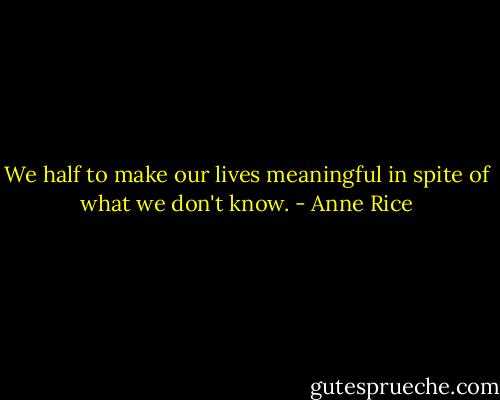 We half to make our lives meaningful in spite of what we don't know. - Anne Rice