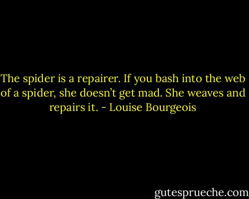 The spider is a repairer. If you bash into the web of a spider, she doesn’t get mad. She weaves and repairs it. - Louise Bourgeois