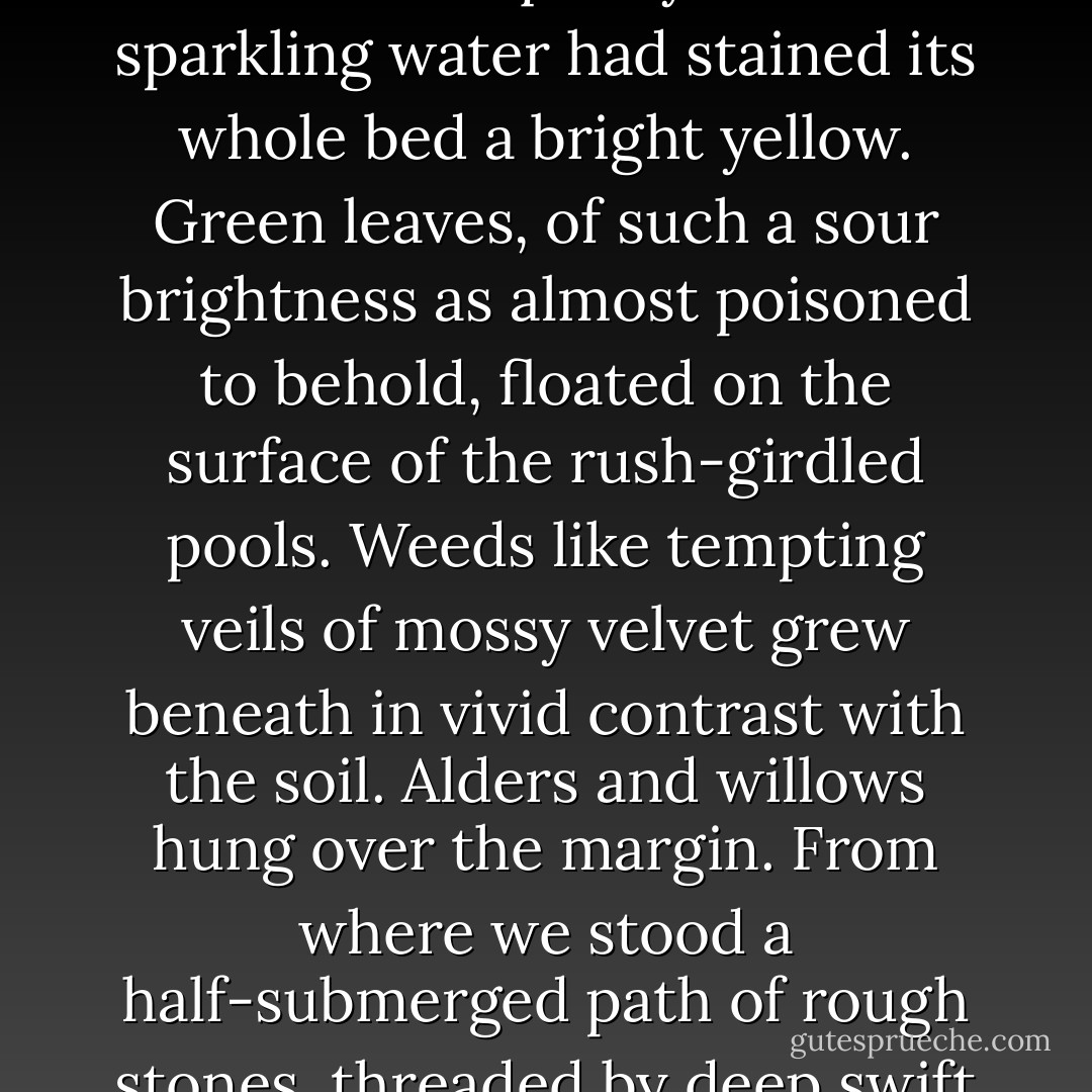 By now, at the end of a sloping alley, we had reached the shores of a vast marsh. Some unknown quality in the sparkling water had stained its whole bed a bright yellow. Green leaves, of such a sour brightness as almost poisoned to behold, floated on the surface of the rush-girdled pools. Weeds like tempting veils of mossy velvet grew beneath in vivid contrast with the soil. Alders and willows hung over the margin. From where we stood a half-submerged path of rough stones, threaded by deep swift channels, crossed to the very centre.<br /><br />("The Basilisk") - R. Murray Gilchrist