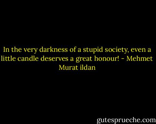 In the very darkness of a stupid society, even a little candle deserves a great honour! - Mehmet Murat ildan
