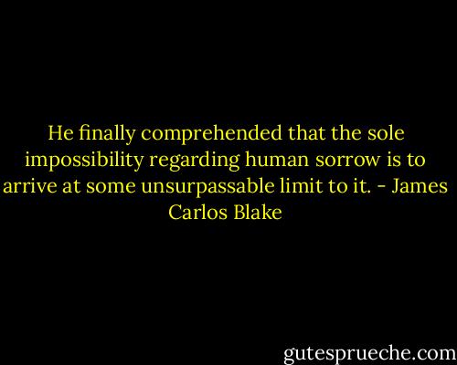 He finally comprehended that the sole impossibility regarding human sorrow is to arrive at some unsurpassable limit to it. - James Carlos Blake