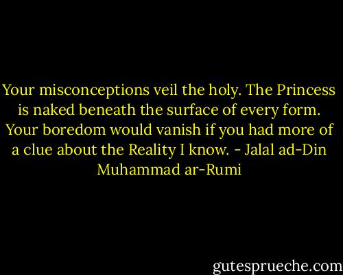 Your misconceptions veil the holy. The Princess is naked<br />beneath the surface of every form. Your boredom would<br />vanish if you had more of a clue about the Reality I know. - Jalal ad-Din Muhammad ar-Rumi