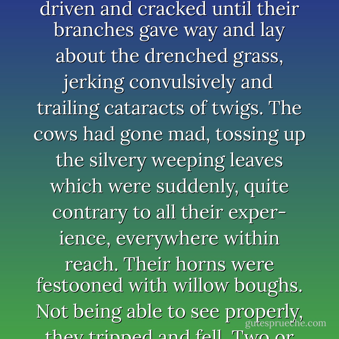 How could the wind be so strong, so far inland, that cyclists<br />coming into the town in the late afternoon looked more like<br />sailors in peril? This was on the way into Cambridge, up Mill<br />Road past the cemetery and the workhouse. On the open<br />ground to the left the willow-trees had been blown, driven<br />and cracked until their branches gave way and lay about the<br />drenched grass, jerking convulsively and trailing cataracts of<br />twigs. The cows had gone mad, tossing up the silvery weeping<br />leaves which were suddenly, quite contrary to all their exper-<br />ience, everywhere within reach. Their horns were festooned<br />with willow boughs. Not being able to see properly, they<br />tripped and fell. Two or three of them were wallowing on<br />their backs, idiotically, exhibiting vast pale bellies intended by<br />nature to be always hidden. They were still munching. A scene<br />of disorder, tree-tops on the earth, legs in the air, in a university<br />city devoted to logic and reason. - Penelope Fitzgerald