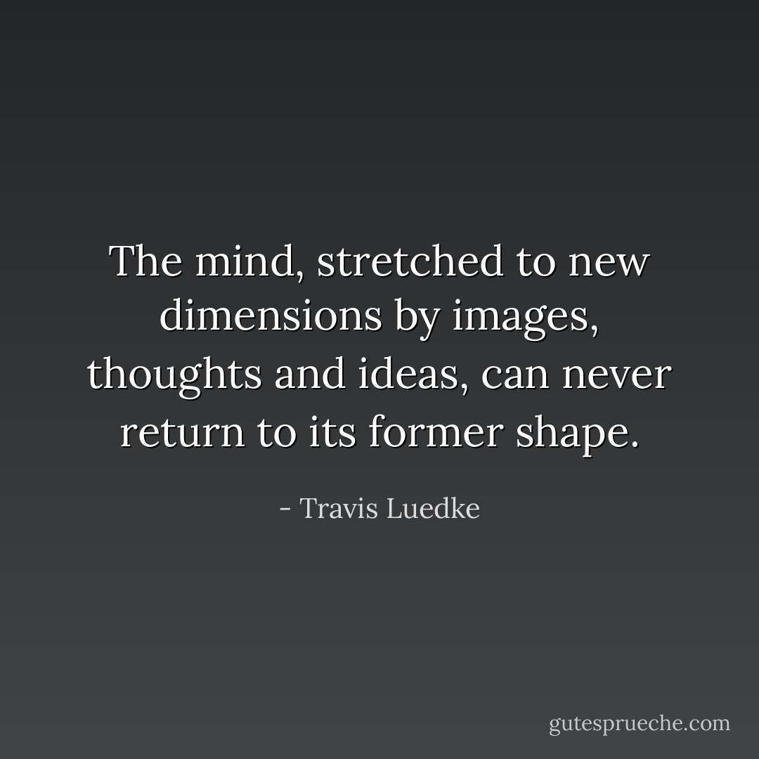 The mind, stretched to new dimensions by images, thoughts and ideas, can never return to its former shape. - Travis Luedke