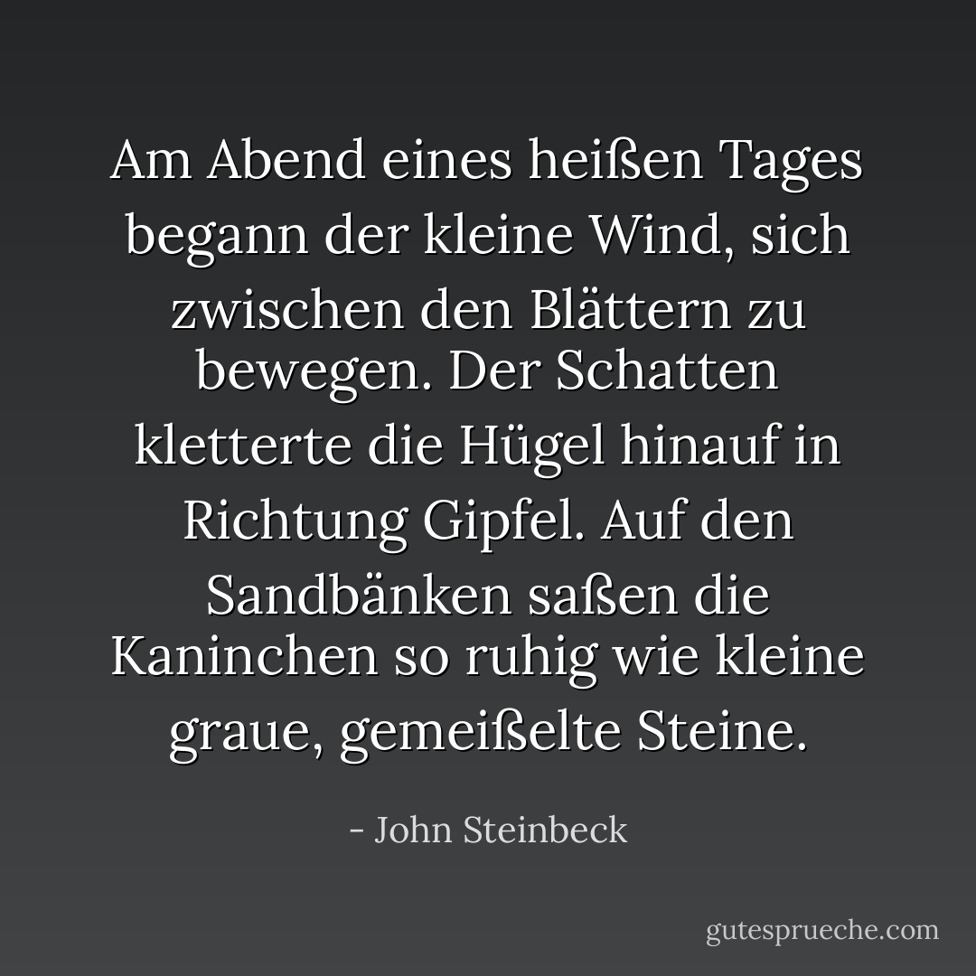 Am Abend eines heißen Tages begann der kleine Wind, sich zwischen den Blättern zu bewegen. Der Schatten kletterte die Hügel hinauf in Richtung Gipfel. Auf den Sandbänken saßen die Kaninchen so ruhig wie kleine graue, gemeißelte Steine. - John Steinbeck<