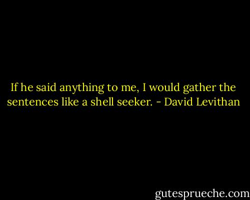 If he said anything to me, I would gather the sentences like a shell seeker. - David Levithan