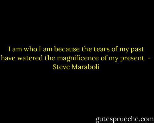 I am who I am because the tears of my past have watered the magnificence of my present. - Steve Maraboli