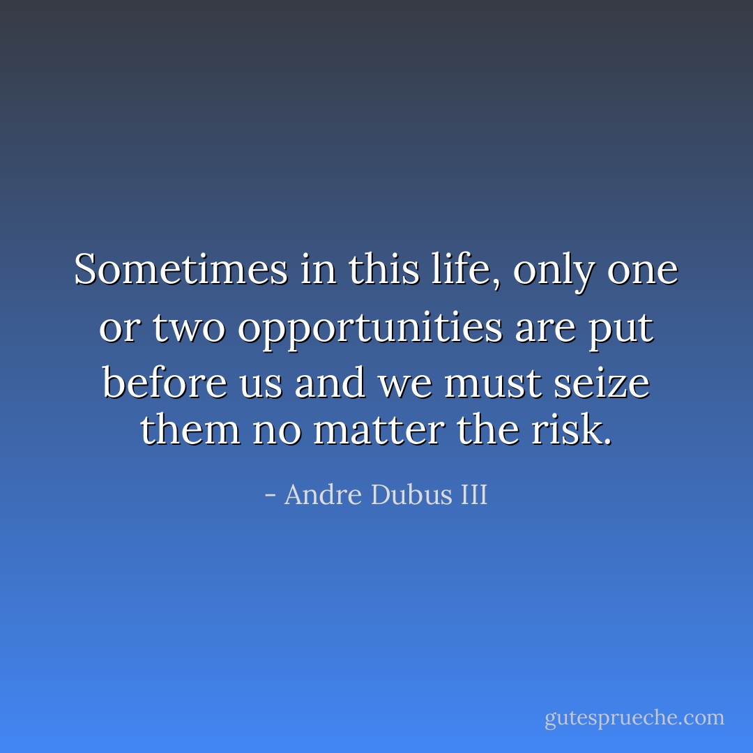 Sometimes in this life, only one or two opportunities are put before us and we must seize them no matter the risk. - Andre Dubus III