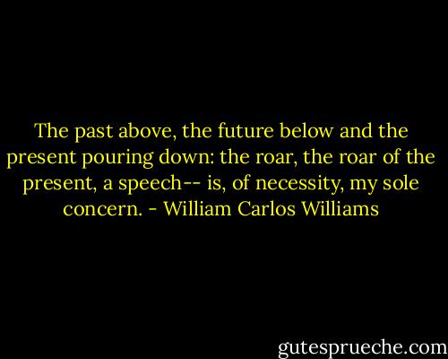 The past above, the future below<br />and the present pouring down: the roar,<br />the roar of the present, a speech--<br />is, of necessity, my sole concern. - William Carlos Williams