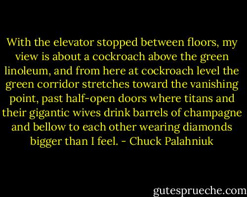 With the elevator stopped between floors, my view is about a cockroach above the green linoleum, and from here at cockroach level the green corridor stretches toward the vanishing point, past half-open doors where titans and their gigantic wives drink barrels of champagne and bellow to each other wearing diamonds bigger than I feel. - Chuck Palahniuk