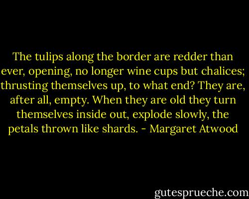 The tulips along the border are redder than ever, opening, no longer wine cups but chalices; thrusting themselves up, to what end? They are, after all, empty. When they are old they turn themselves inside out, explode slowly, the petals thrown like shards. - Margaret Atwood