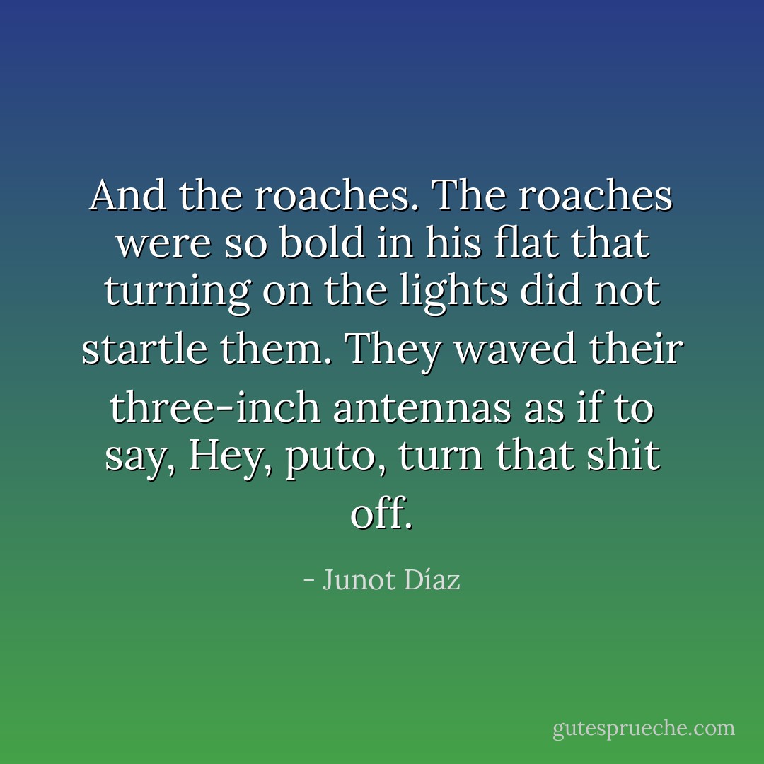 And the roaches. The roaches were so bold in his flat that turning on the lights did not startle them. They waved their three-inch antennas as if to say, Hey, puto, turn that shit off. - Junot Díaz