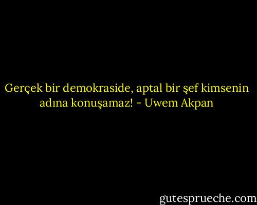 Gerçek bir demokraside, aptal bir şef kimsenin adına konuşamaz! - Uwem Akpan