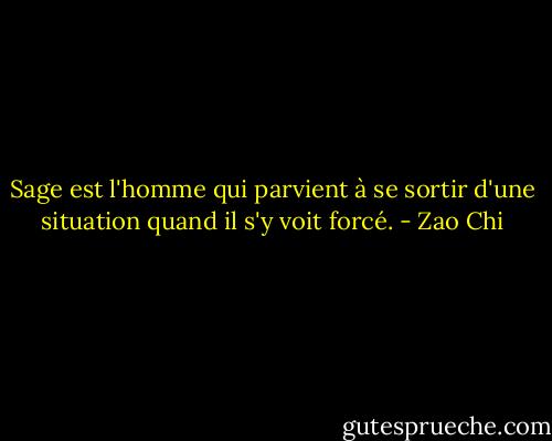 Sage est l'homme qui parvient à se sortir d'une situation quand il s'y voit forcé. - Zao Chi