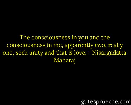 The consciousness in you and the consciousness in me, apparently two, really one, seek unity and that is love. - Nisargadatta Maharaj