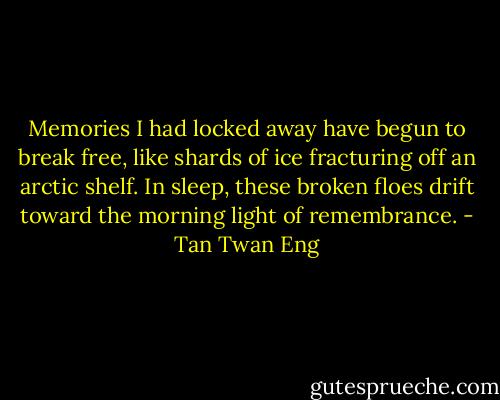 Memories I had locked away have begun to break free, like shards of ice fracturing off an arctic shelf. In sleep, these broken floes drift toward the morning light of remembrance. - Tan Twan Eng