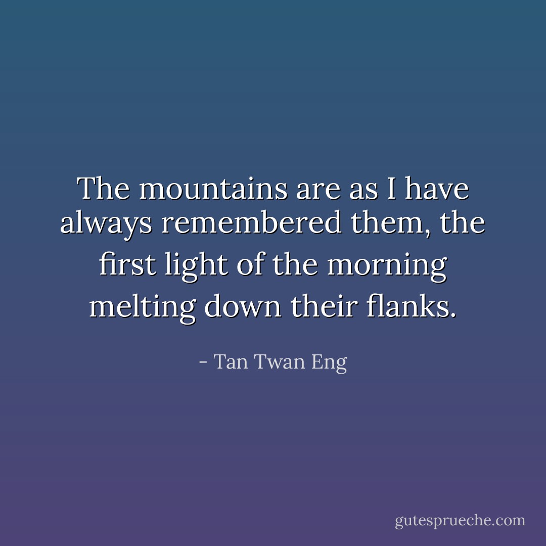 The mountains are as I have always remembered them, the first light of the morning melting down their flanks. - Tan Twan Eng