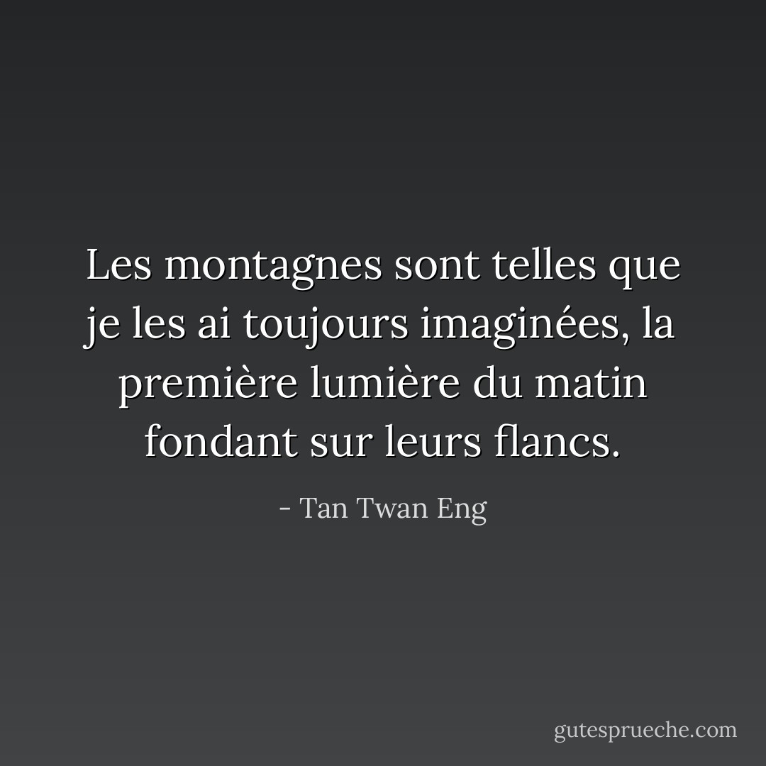 Les montagnes sont telles que je les ai toujours imaginées, la première lumière du matin fondant sur leurs flancs. - Tan Twan Eng