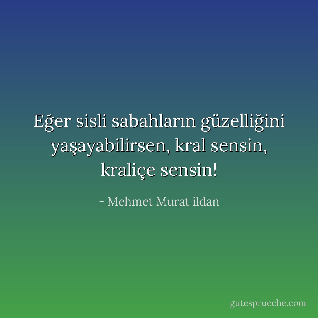 Eğer sisli sabahların güzelliğini yaşayabilirsen, kral sensin, kraliçe sensin! - Mehmet Murat ildan