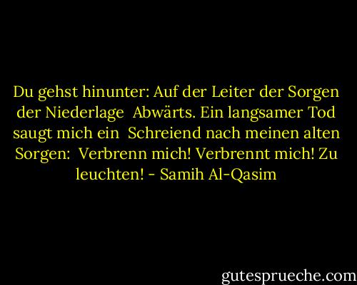 Du gehst hinunter: Auf der Leiter der Sorgen der Niederlage<br /><br />Abwärts. Ein langsamer Tod saugt mich ein<br /><br />Schreiend nach meinen alten Sorgen:<br /><br />Verbrenn mich! Verbrennt mich! Zu leuchten! - Samih Al-Qasim<