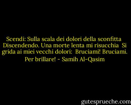 Scendi: Sulla scala dei dolori della sconfitta<br /><br />Discendendo. Una morte lenta mi risucchia<br /><br />Si grida ai miei vecchi dolori:<br /><br />Bruciami! Bruciami. Per brillare! - Samih Al-Qasim